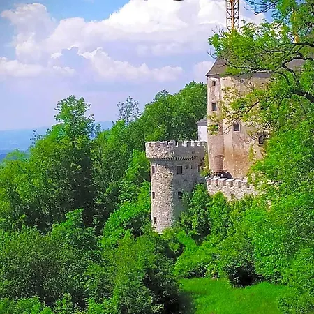 Burg Plankenstein *