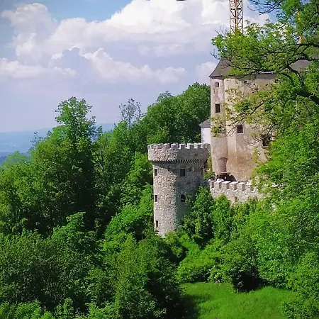 Burg Plankenstein Ξενοδοχείο *