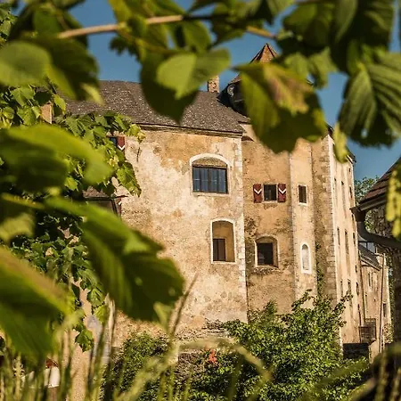 Hotel Burg Plankenstein *